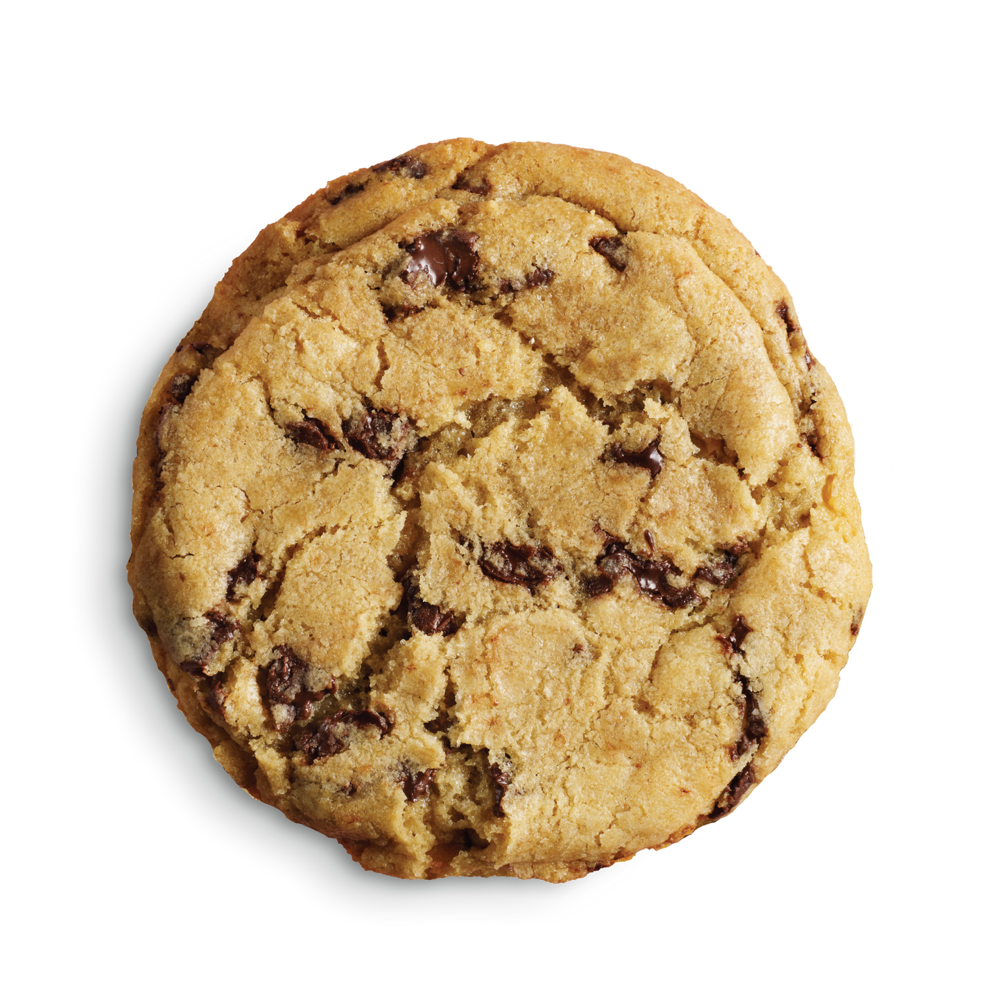 Chocolate Chip