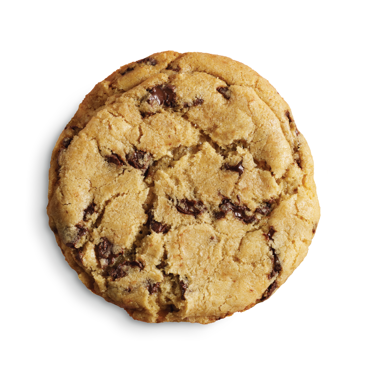 Chocolate Chip