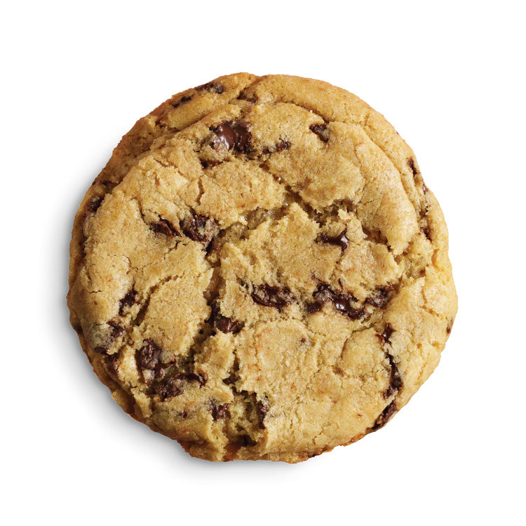 Chocolate Chip