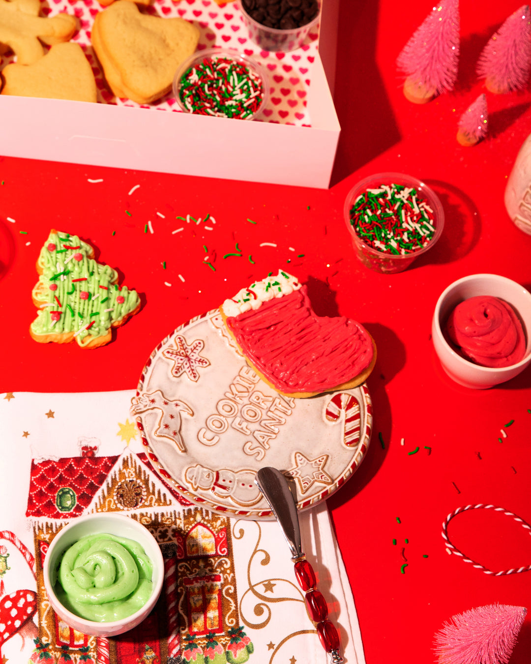 Christmas Cookie Decorating Kit