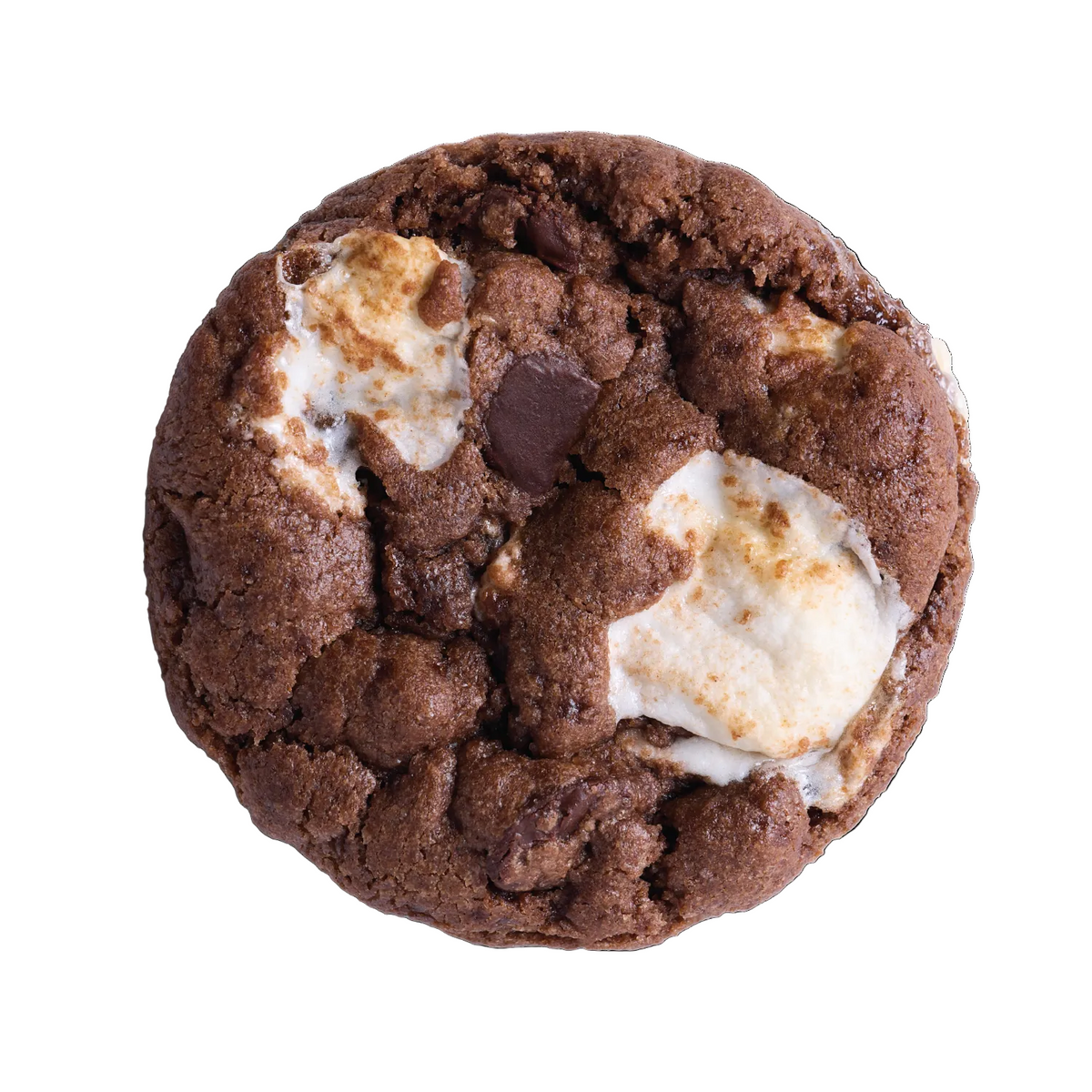 A single chocolate chip cookie with toasted marshmallow pieces and dark chocolate chunks, photographed from directly above on a clean white background.