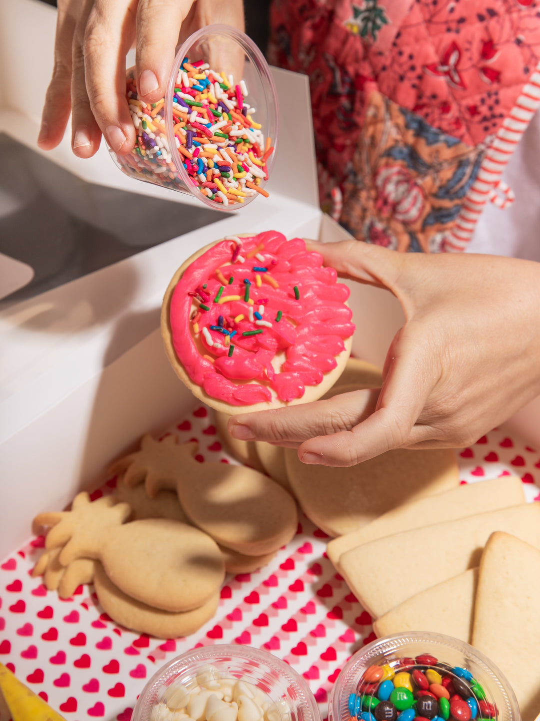 Birthday Cookie Decorating Kit