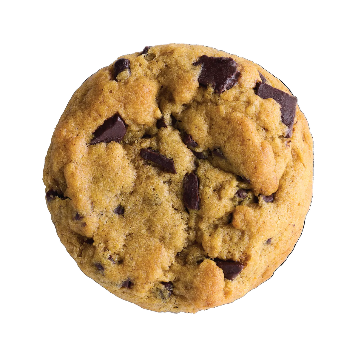 A single pumpkin chocolate chip cookie photographed from above on a clean white background.