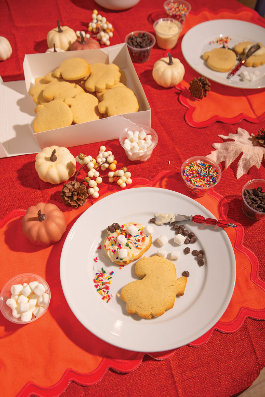 Thanksgiving Cookie Decorating Kit